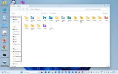 Windows 11 OneDrive Ordner Falschdarstellung ohne OneDrive Icon.png
