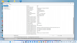 HP ProBook 470 G5 Betriebssysteminformationen 2.png